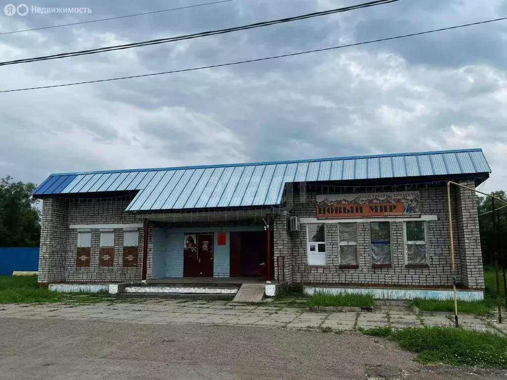 Участок в Новый Мир, Береговая улица (12 м) - Фото 0