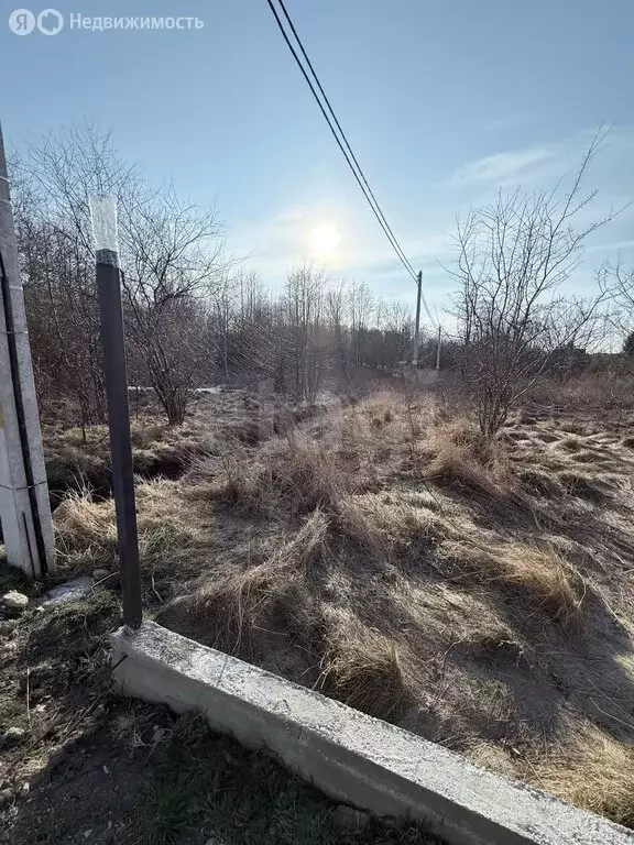 Участок в посёлок Лесное, Янтарная улица (6.76 м) - Фото 2