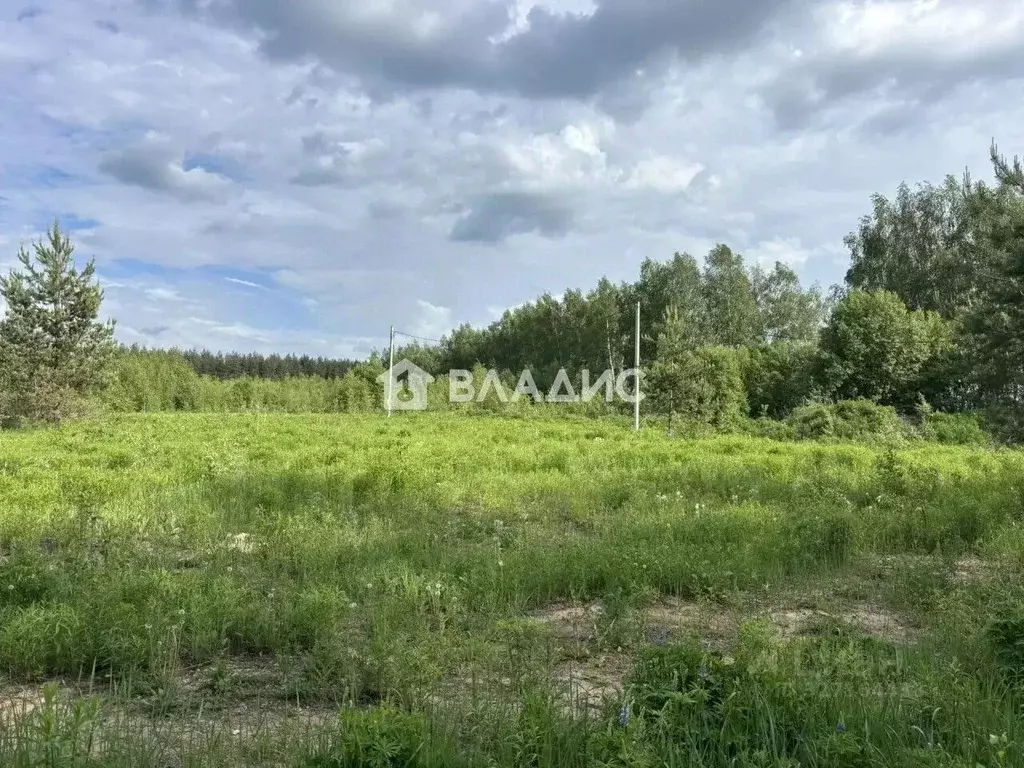 Участок в Нижегородская область, с. Безводное  (14.95 сот.) - Фото 2