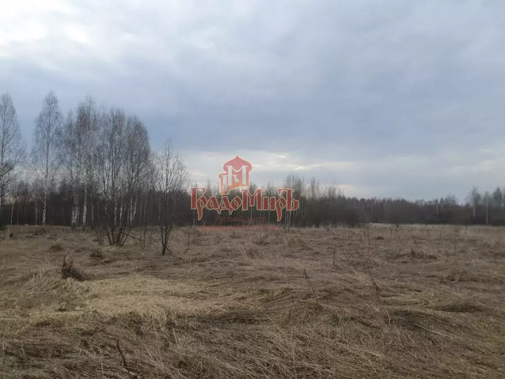 Участок в Московская область, Дмитровский муниципальный округ, деревня ... - Фото 1