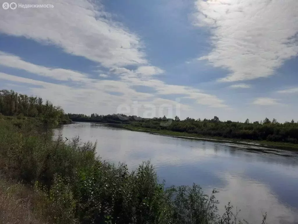 Участок в Тюменский район, село Борки (28.3 м) - Фото 1