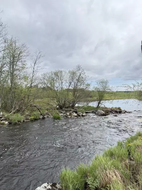 Участок в Карелия, Лахденпохский муниципальный округ, пос. Микли ул. ... - Фото 1