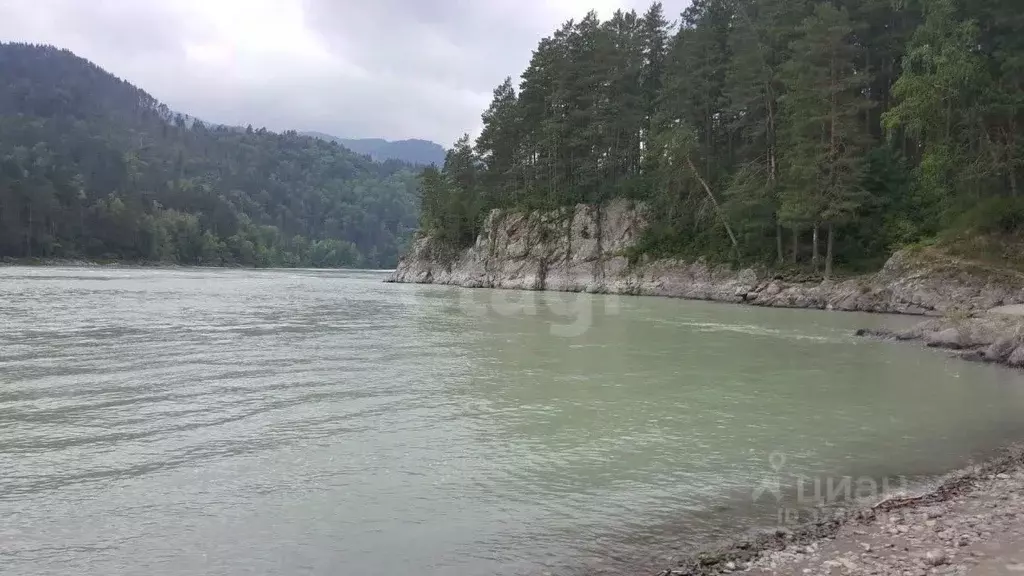 Участок в Алтайский край, Алтайский район, Айский сельсовет, с. Ая ул. ... - Фото 2