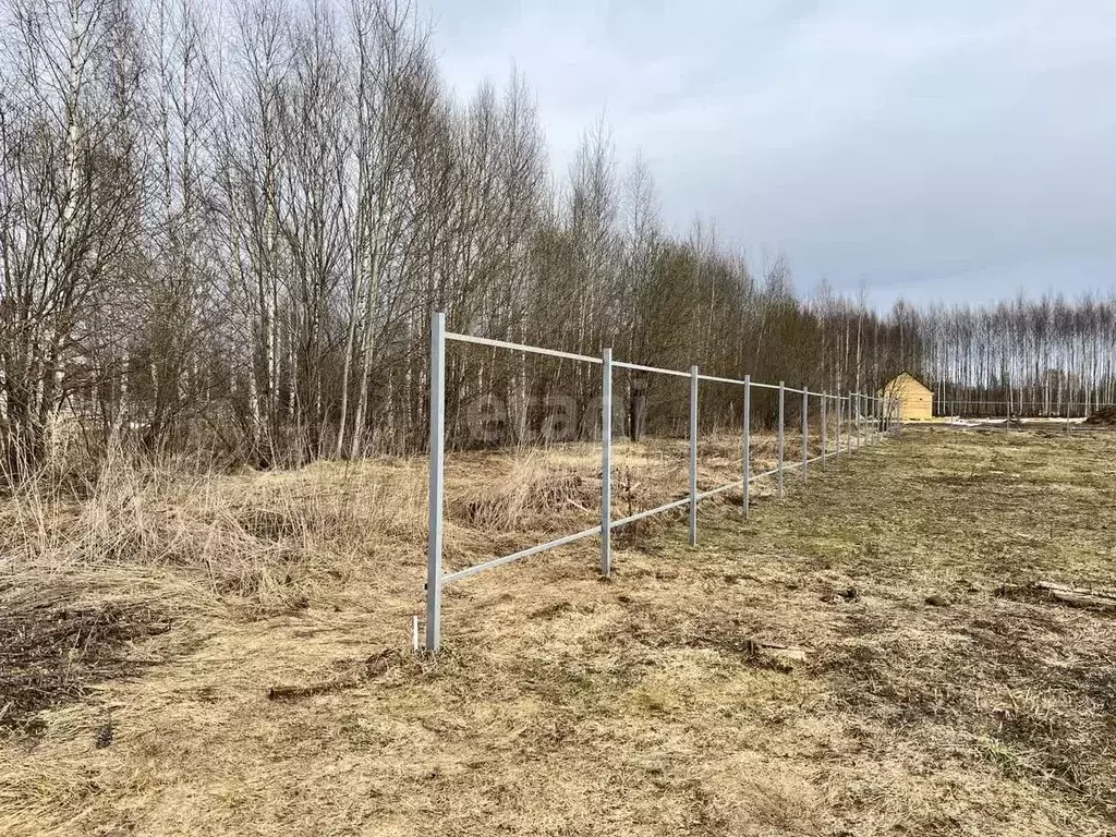 Участок в Костромская область, Красносельский район, Боровиковское ... - Фото 1