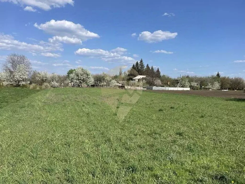 Участок в Белгородская область, Старый Оскол пер. Абрикосовый (21.0 ... - Фото 2