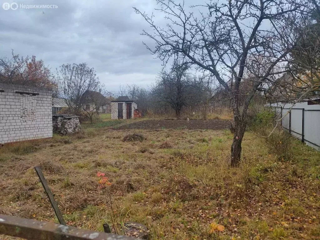 Участок в село Толмачево, садовые участки Импульс, 199 (6 м) - Фото 1