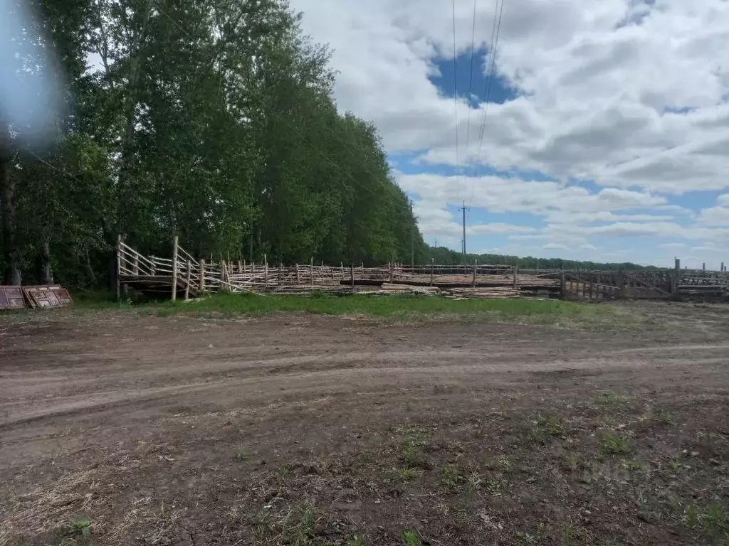 Участок в Новосибирская область, Новосибирский район, с. Верх-Тула ... - Фото 1