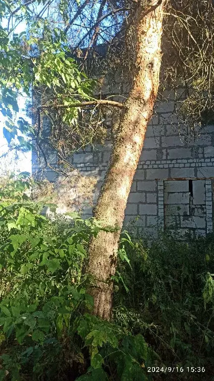 Продается участок в ДНТ Усадьба - Фото 2