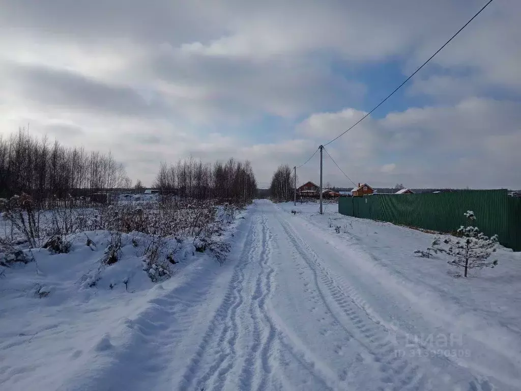 Участок в Нижегородская область, Богородский муниципальный округ, д. ... - Фото 1