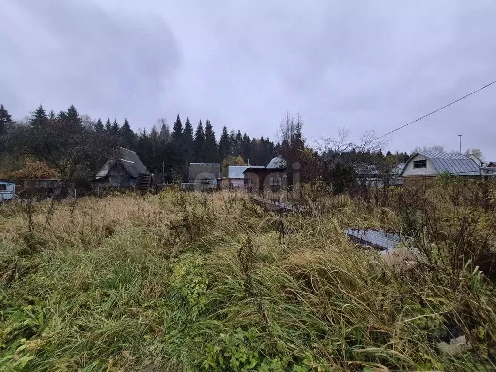 Участок в Калужская область, Малоярославец Автомагистраль СНТ, 40 (4.0 ... - Фото 1