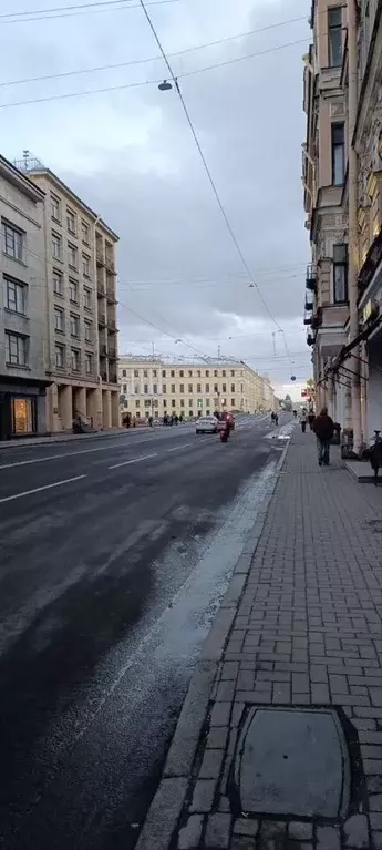 Помещение свободного назначения в Санкт-Петербург Вознесенский просп., ... - Фото 2