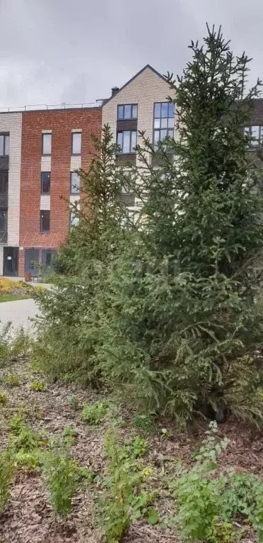 1-к кв. Московская область, Одинцовский городской округ, д. Митькино ... - Фото 1