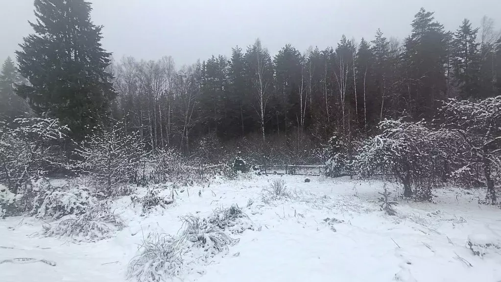 Участок в Ленинградская область, Всеволожский район, Рахьинское ... - Фото 0