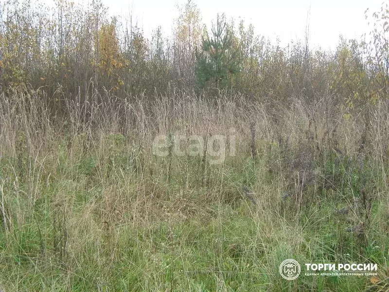 Участок в Копейск, СНТ Мебельщик, Рябиновая улица (5.5 м) - Фото 1