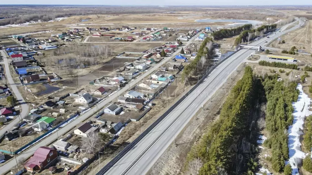 Участок в Тюменская область, Ярковский район, с. Дубровное  (15.0 ... - Фото 1