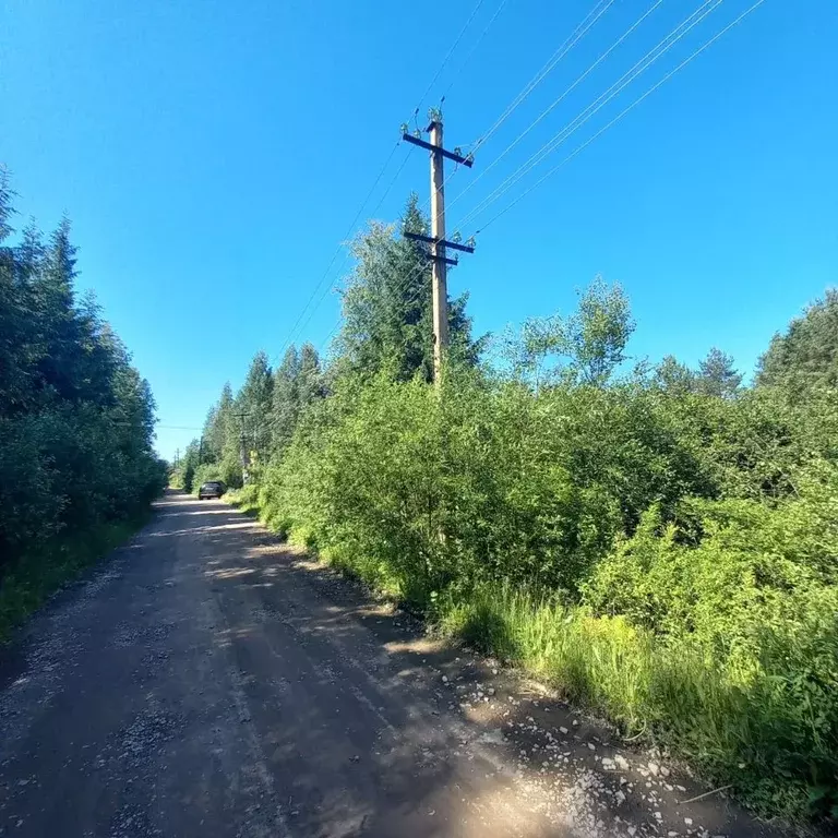 Участок в Ленинградская область, Выборгский район, Рощинское городское ... - Фото 1