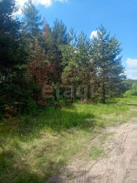 Участок в Белгородская область, Поселок Чернянка городское поселение, ... - Фото 2