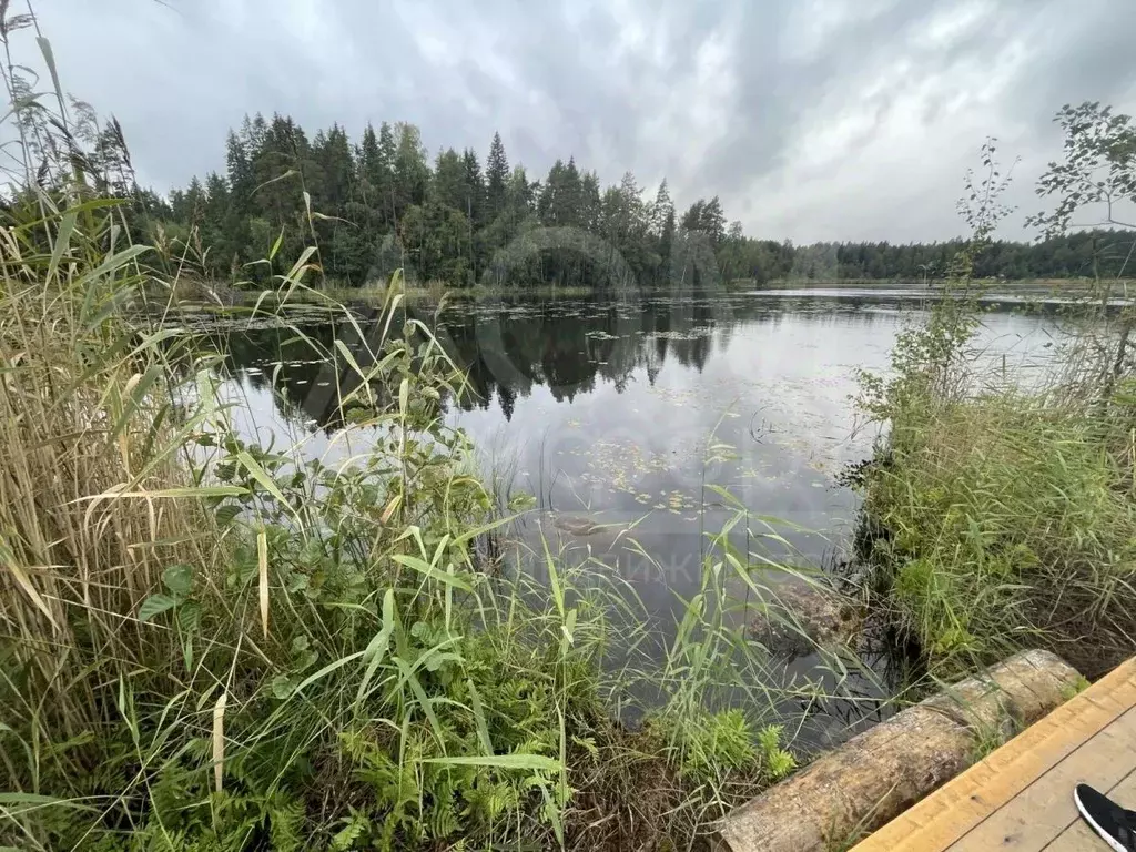 Участок в Ленинградская область, Приозерское городское поселение, пос. ... - Фото 0