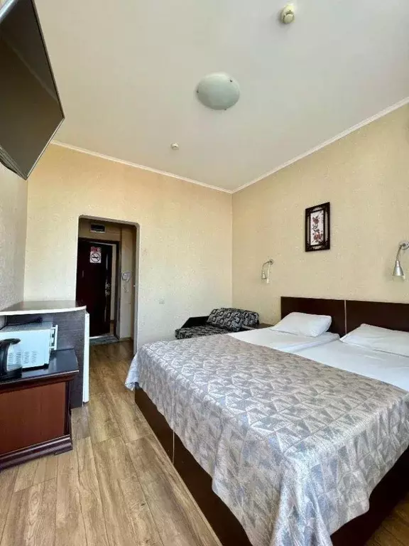 Комната Краснодарский край, Сочи Курортный просп., 75к1 (20.0 м) - Фото 1