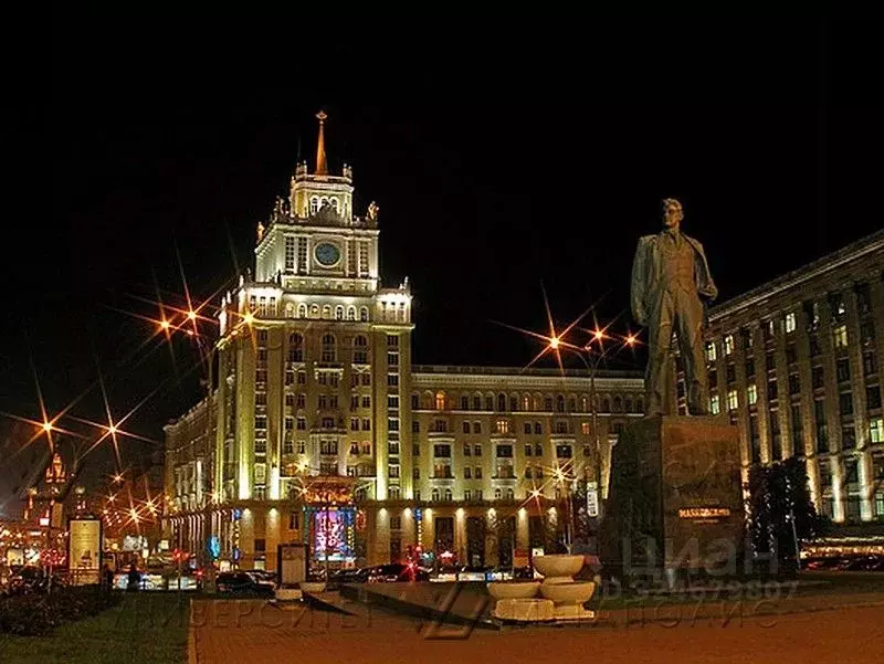 Торговая площадь в Москва Большая Садовая ул., 5 (380 м) - Фото 1