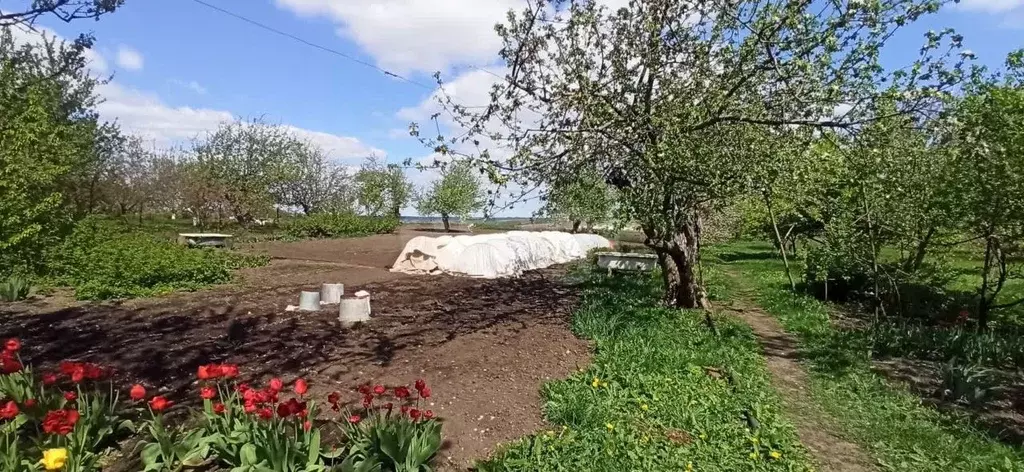 Дом в Белгородская область, Губкинский городской округ, с. Сапрыкино ... - Фото 1