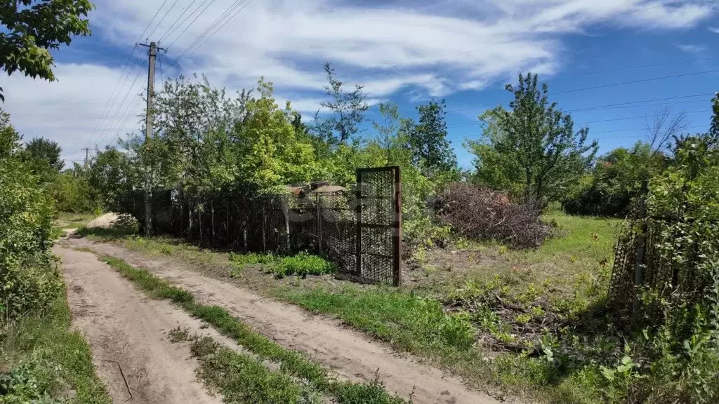 Участок в Воронежская область, Воронеж Южный СДТ, 325 (5.1 сот.) - Фото 2