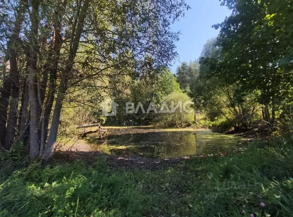 Участок в Владимирская область, Судогодский район, Муромцевское ... - Фото 2