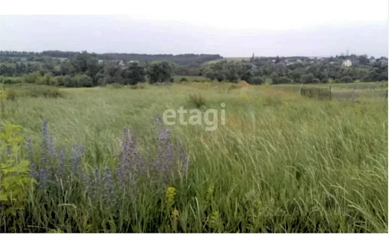 Участок в Белгородская область, Губкинский городской округ, с. Осколец ... - Фото 0