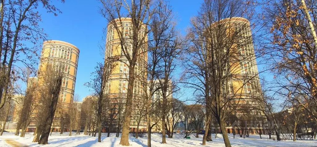 Помещение свободного назначения в Санкт-Петербург Коломяжский просп., ... - Фото 1