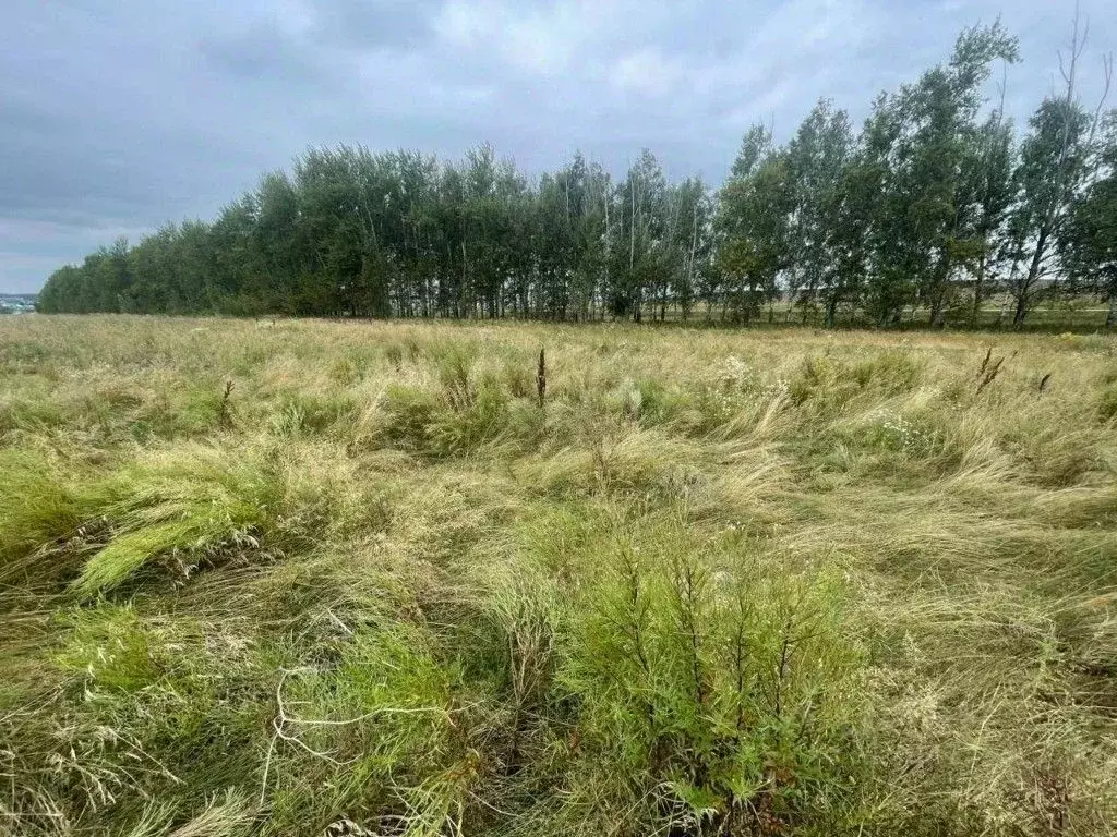 Участок в Башкортостан, Кармаскалинский район, с. Шаймуратово  (10.0 ... - Фото 2