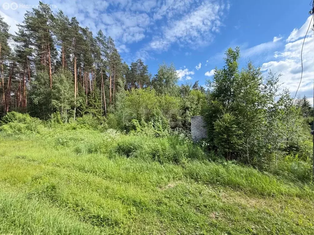 Участок в Мылинское сельское поселение, посёлок Газёновка (8 м) - Фото 1