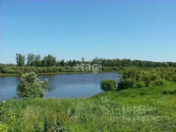 Участок в Свердловская область, Талицкий городской округ, д. Речкина ... - Фото 1