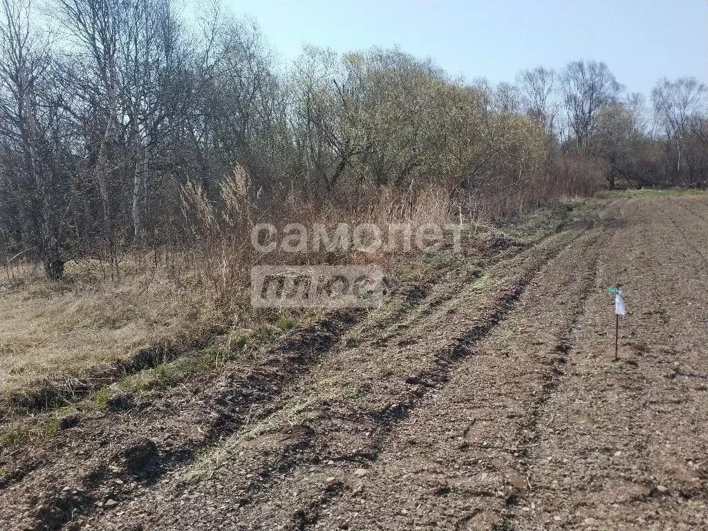 Участок в Сахалинская область, Анивский городской округ, с. Мицулевка  ... - Фото 1