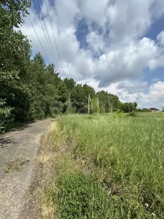 Участок в Тюменская область, Тюменский муниципальный округ, д. Ушакова ... - Фото 1