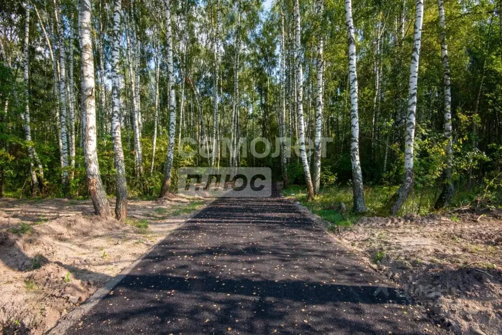 Участок в Московская область, Раменский городской округ, Ульянинское ... - Фото 1