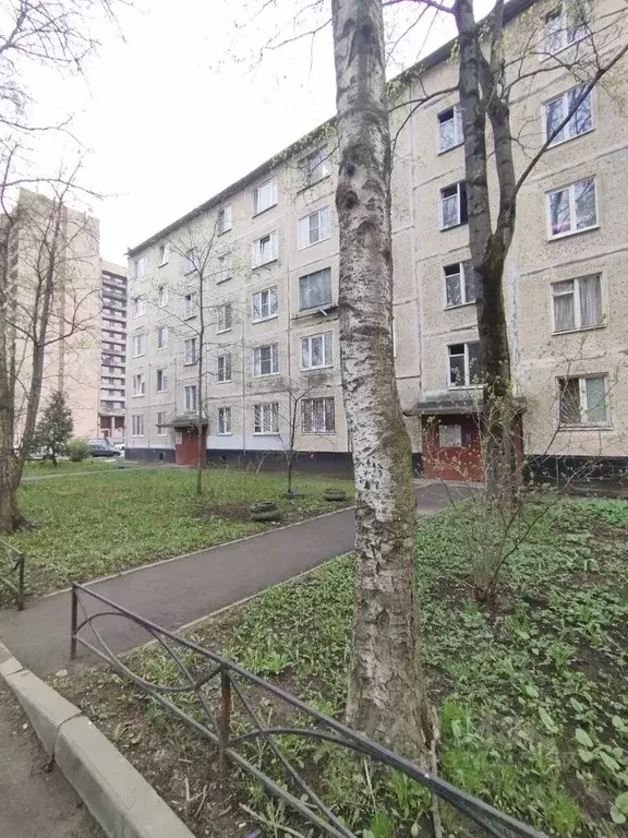 Комната Санкт-Петербург Дальневосточный просп., 82К1 (15.8 м) - Фото 0