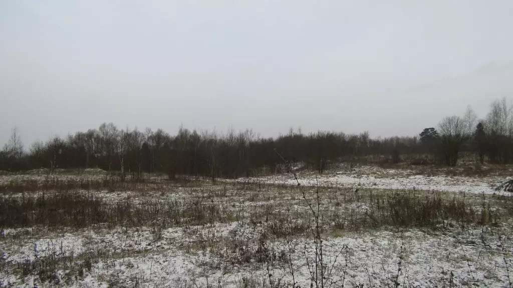 Участок в Московская область, Рузский муниципальный округ, д. Лыщиково ... - Фото 1