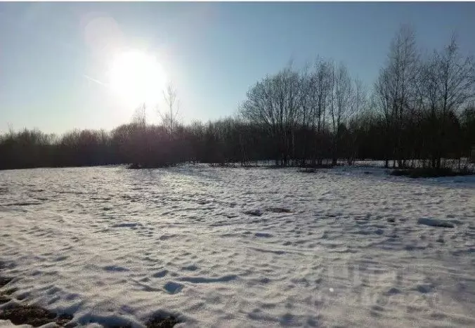 Участок в Московская область, Дмитровский муниципальный округ, д. ... - Фото 1