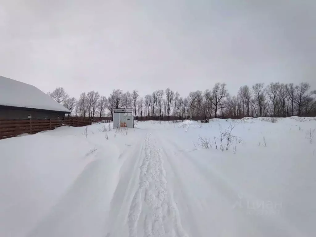 Участок в Новосибирская область, Новосибирский район, Кубовинский ... - Фото 1