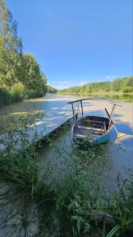Участок в Самарская область, Красноярский район, Старая Бинарадка ... - Фото 2