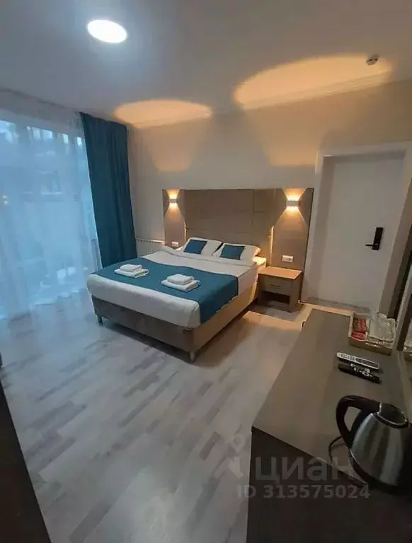 Комната Краснодарский край, Сочи ул. Ленина, 219/5Б - Фото 1