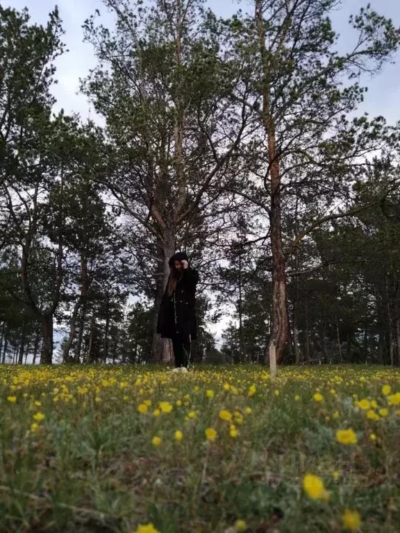 Участок в Саха (Якутия), Якутск городской округ, с. Тулагино  (8.0 ... - Фото 2