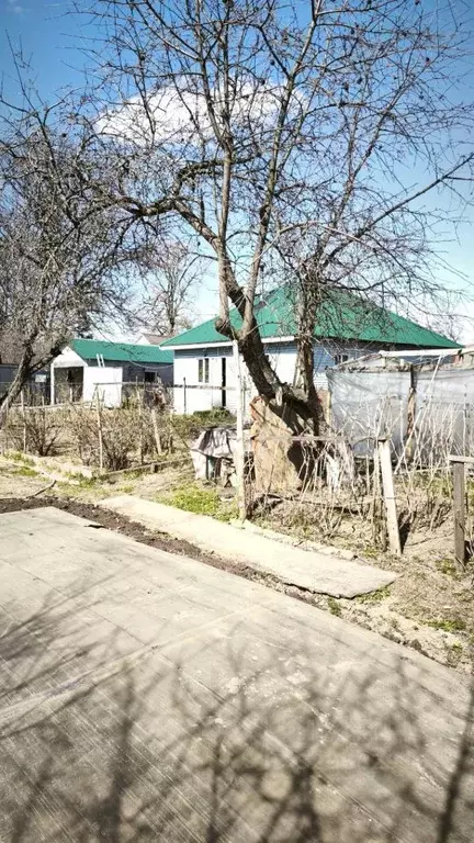 Дом в Ленинградская область, Сертолово Всеволожский район, Ягодка СНТ, ... - Фото 2
