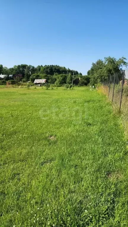Участок в Псковская область, Печорский муниципальный округ, д. Усадище ... - Фото 1