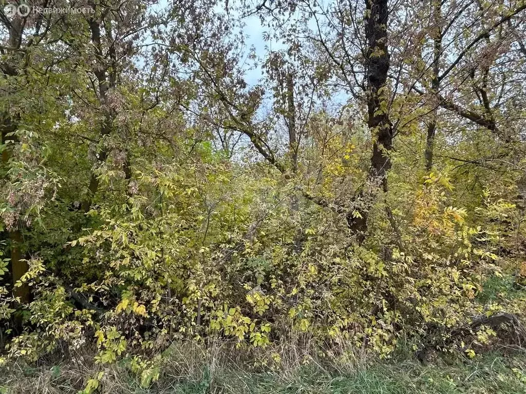 Дом в Сагайдачное, Молодёжная улица (50 м) - Фото 2