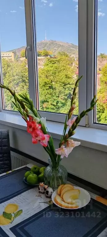 1-к кв. Ставропольский край, Пятигорск Партизанская ул., 1В (46.0 м) - Фото 2