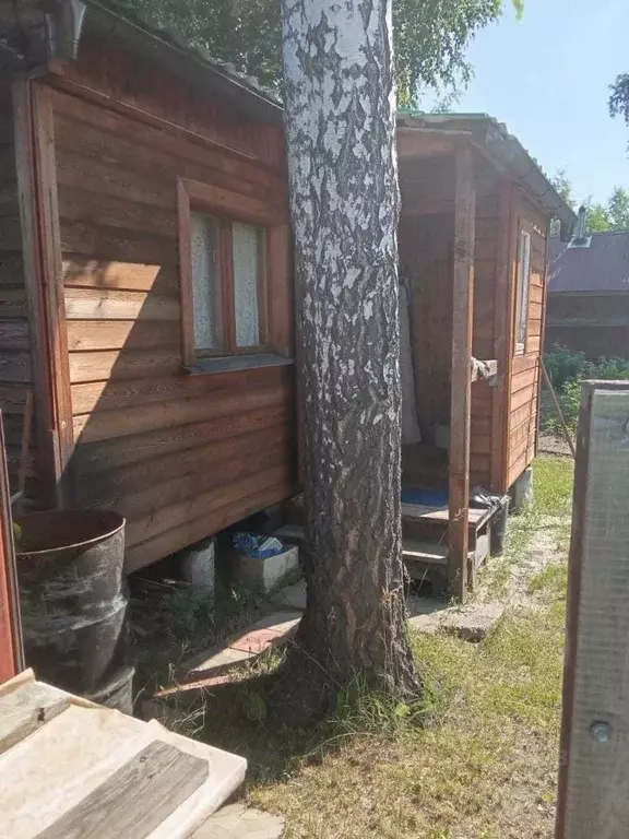 Дом в Новосибирская область, Новосибирский район, с. Ярково ул. Мира ... - Фото 1