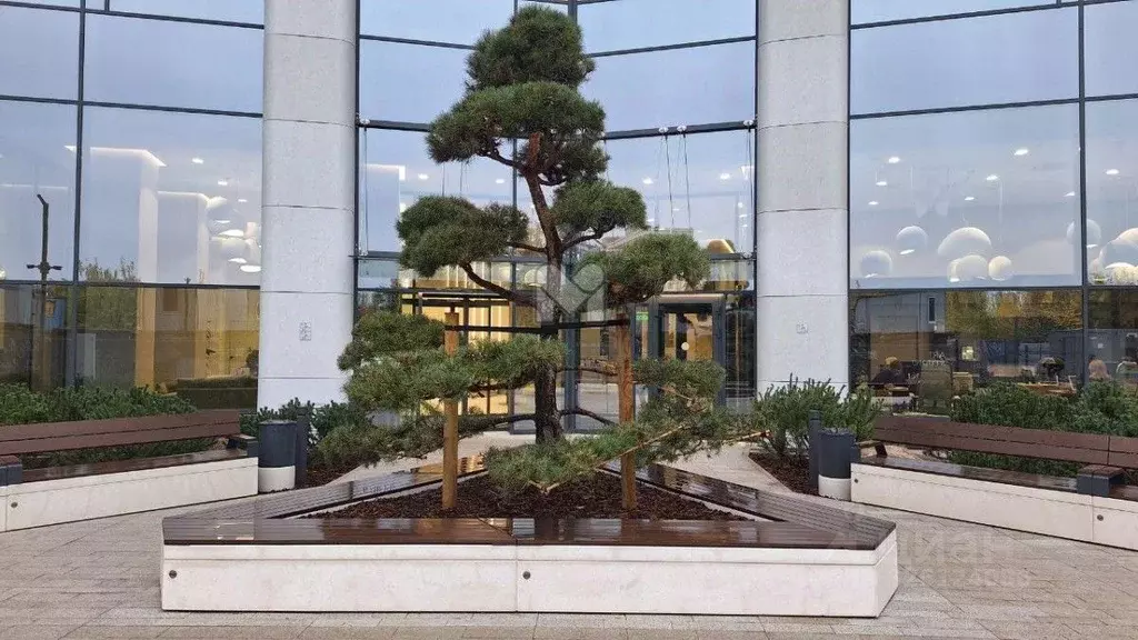 Студия Санкт-Петербург Ташкентская ул., 6к2 (26.0 м) - Фото 2