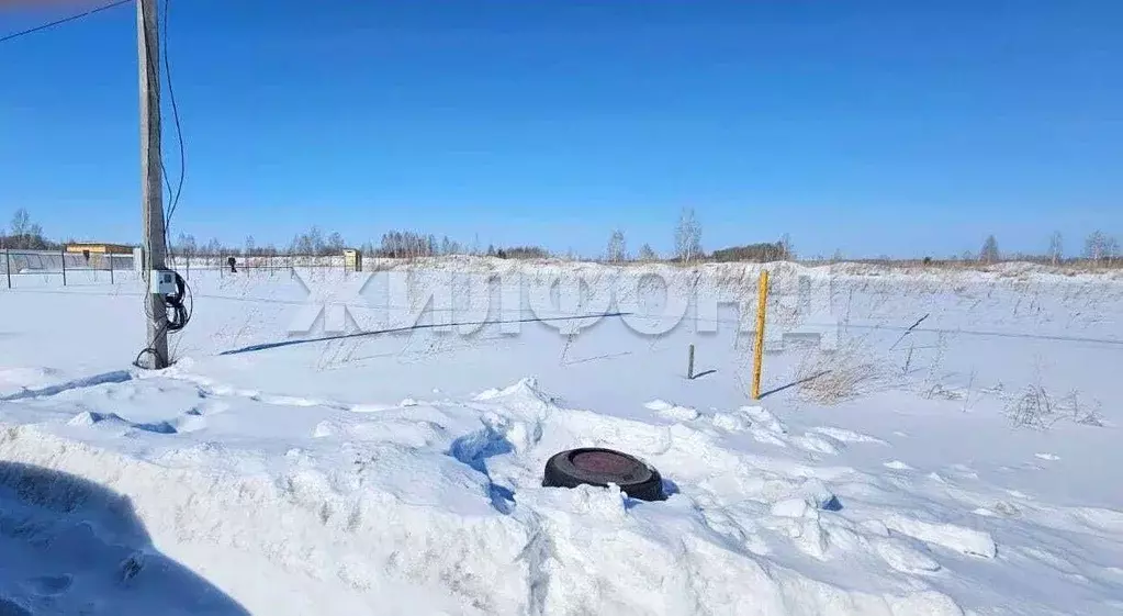 Участок в Новосибирская область, Новосибирский район, Верх-Тулинский ... - Фото 2