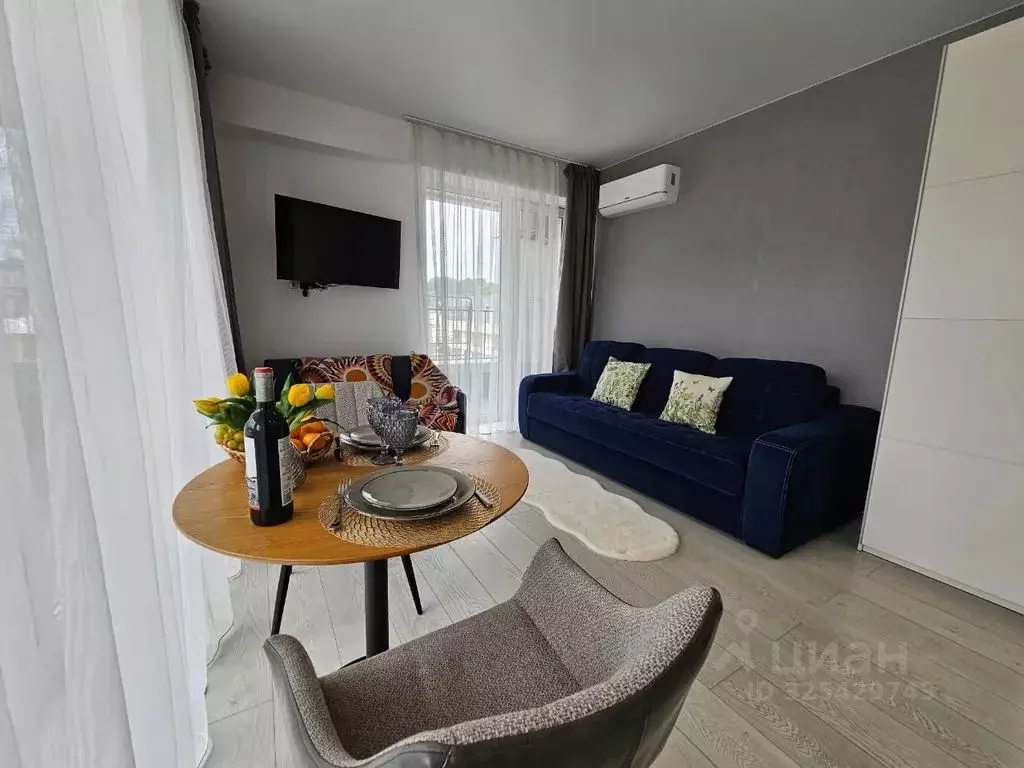 1-к кв. Краснодарский край, Сочи городской округ, Дагомыс пгт ул. ... - Фото 2